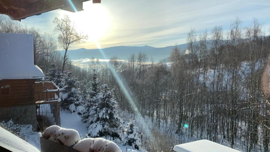 een uitzicht op een met sneeuw bedekt bos met de zon schijnt bij Apartament Hakerówka in Szklarska Poręba