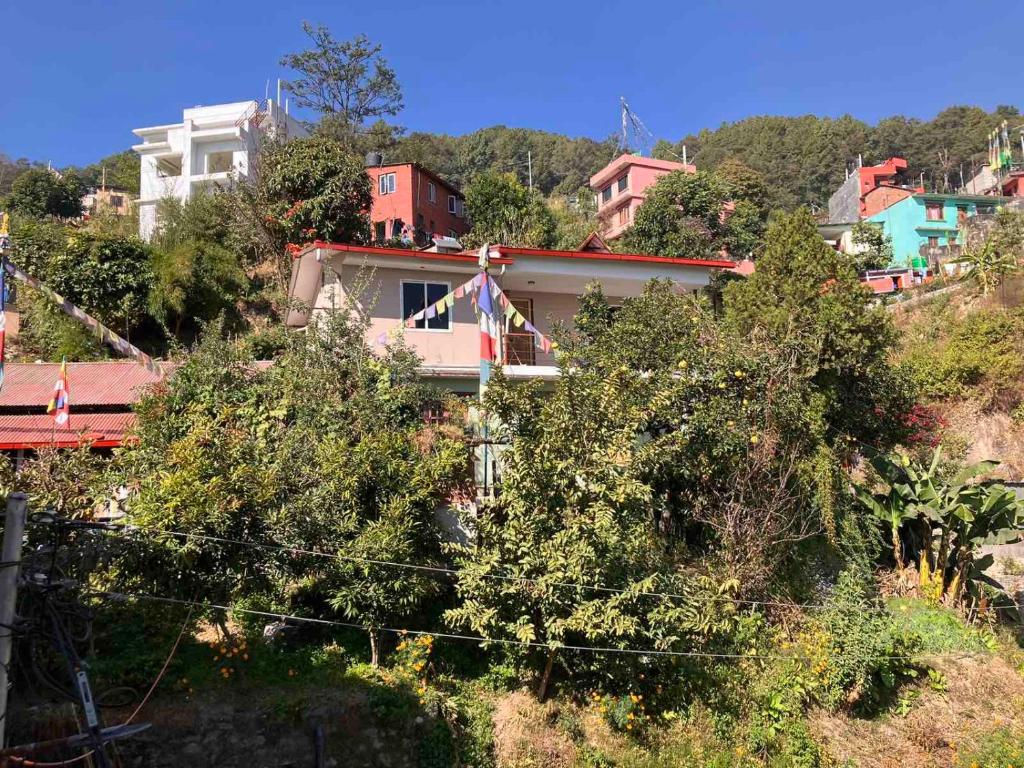un grupo de casas en una colina con árboles en Sacred Trails Homestay, en Burhānilkantha
