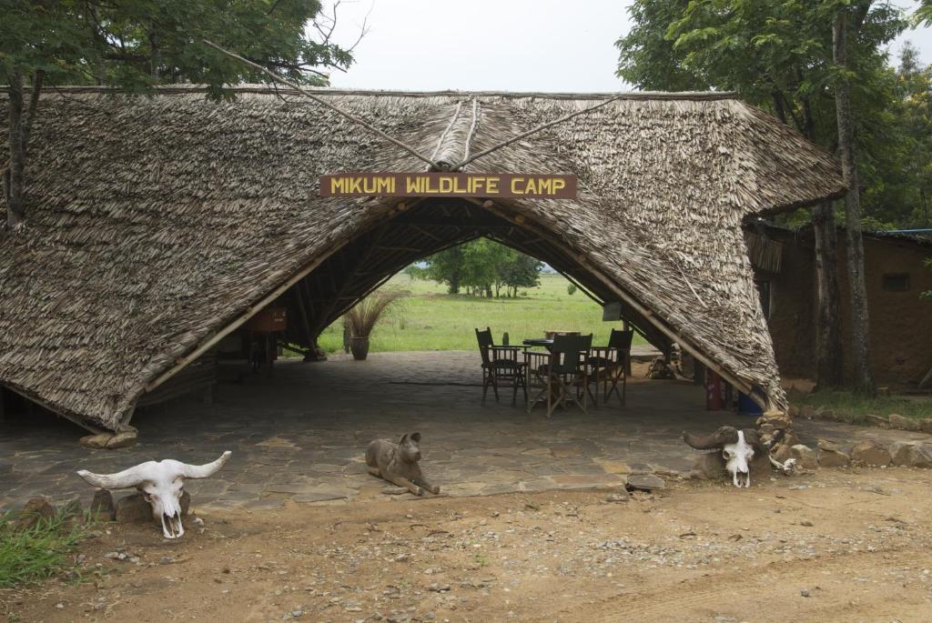 un groupe de singes debout devant une cabane dans l'établissement Mikumi Wilderness Camp, à Kikoboga