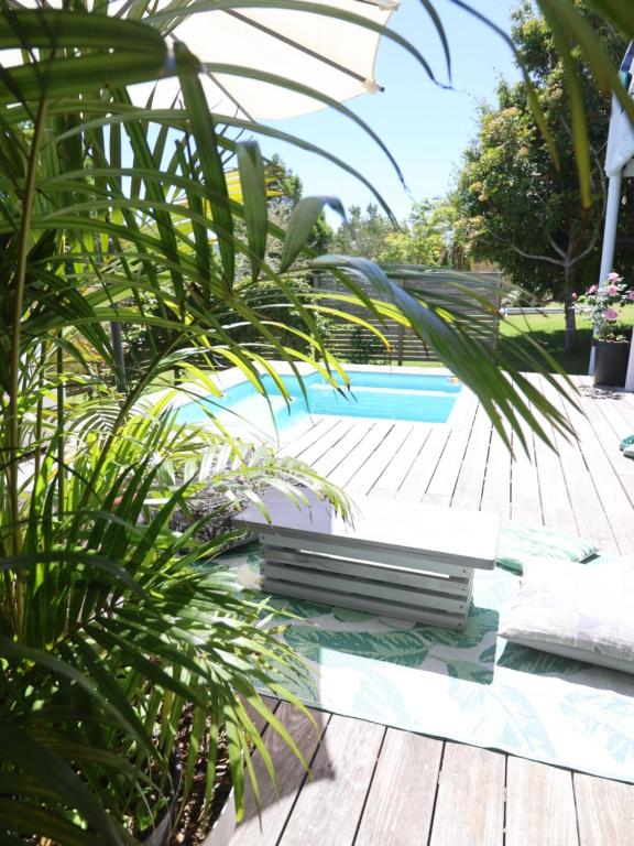a pool with a wooden deck and a palm tree at Lush Spacious Family Home between Beach & Town in Knysna