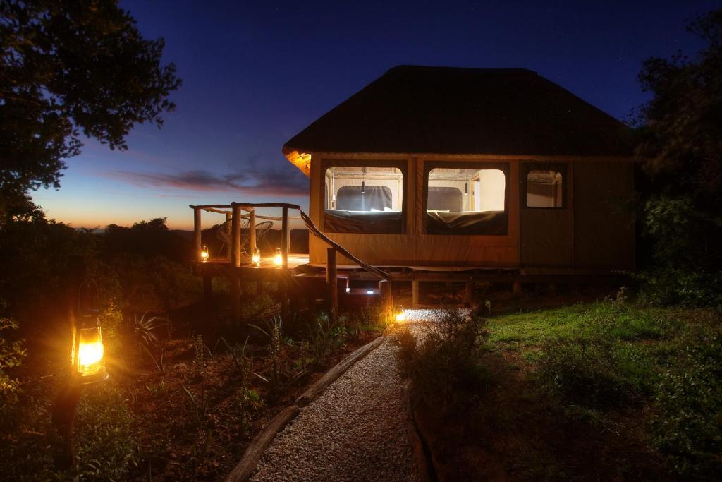 una casa sentada al lado de un campo por la noche en Elephants Safari Lodge - Bellevue Forest Reserve en Paterson