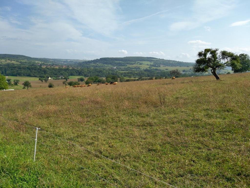 Příroda nedaleko luxury tent