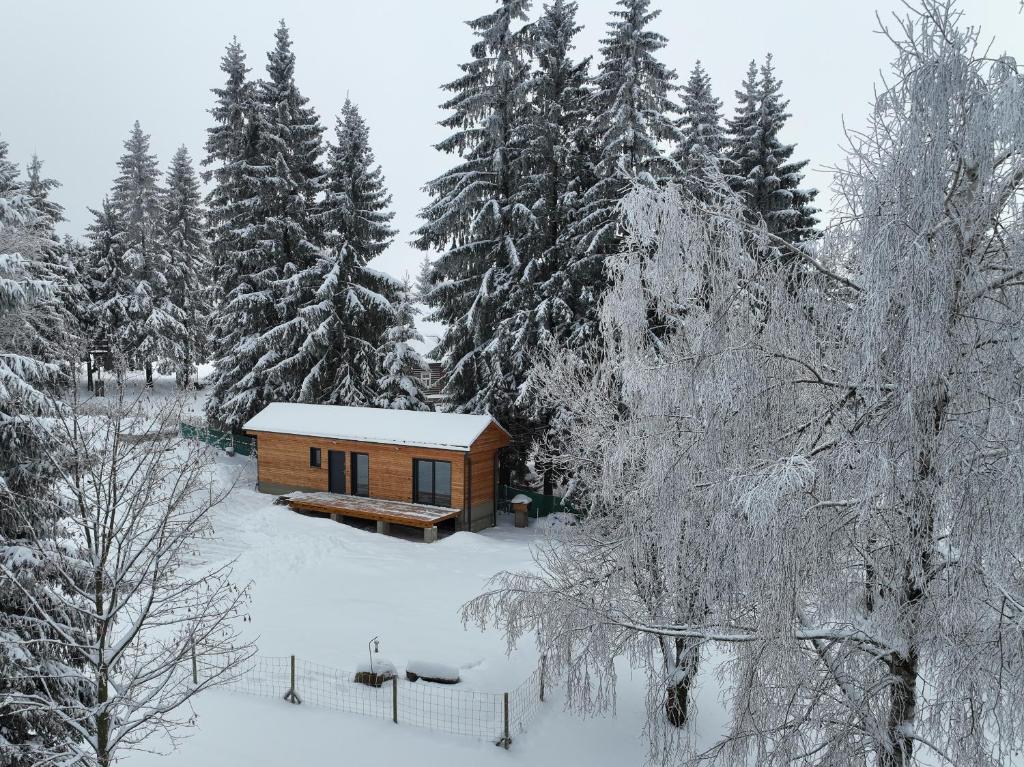 a log cabin in the snow with trees at black well in Jablonec nad Nisou