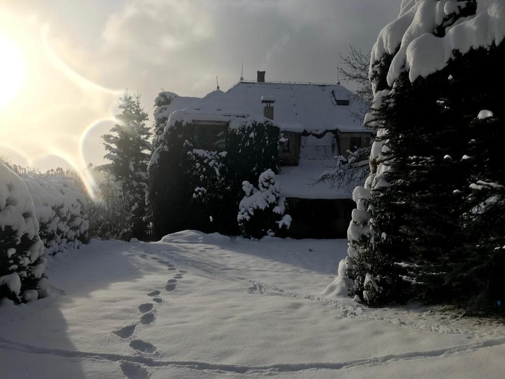 une cour recouverte de neige avec des empreintes de pied devant une maison dans l'établissement Apartmán Rekys, à Jiřetín pod Bukovou