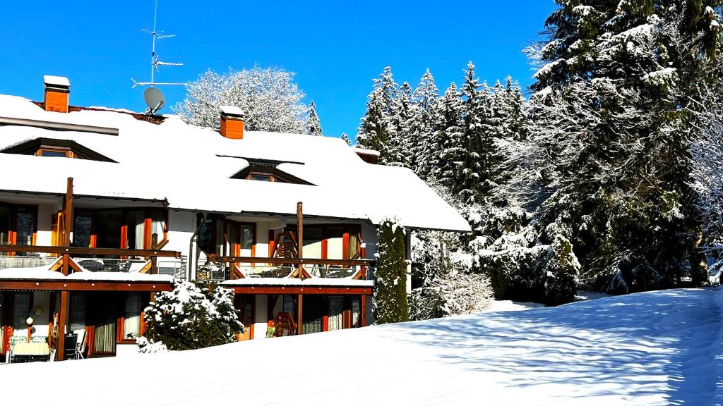 Michels Apartment - Housity