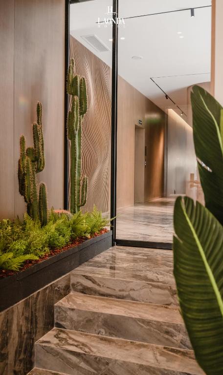 a room with cactus plants and a hallway at La Onda Hotel Durres in Durrës