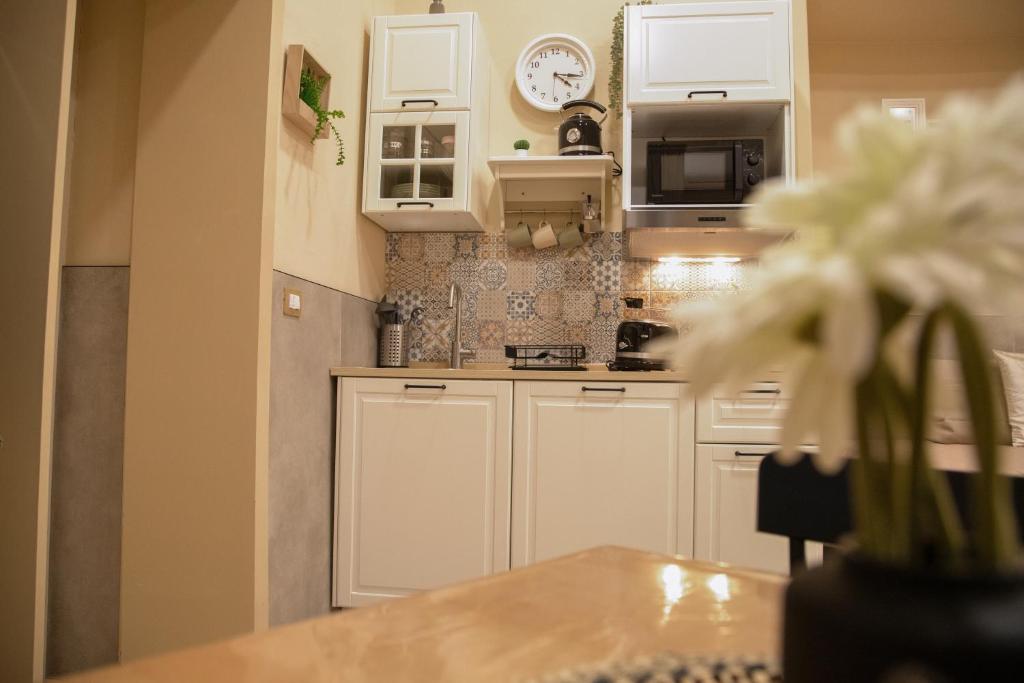 Kuchyň nebo kuchyňský kout v ubytování Graziano Home Station