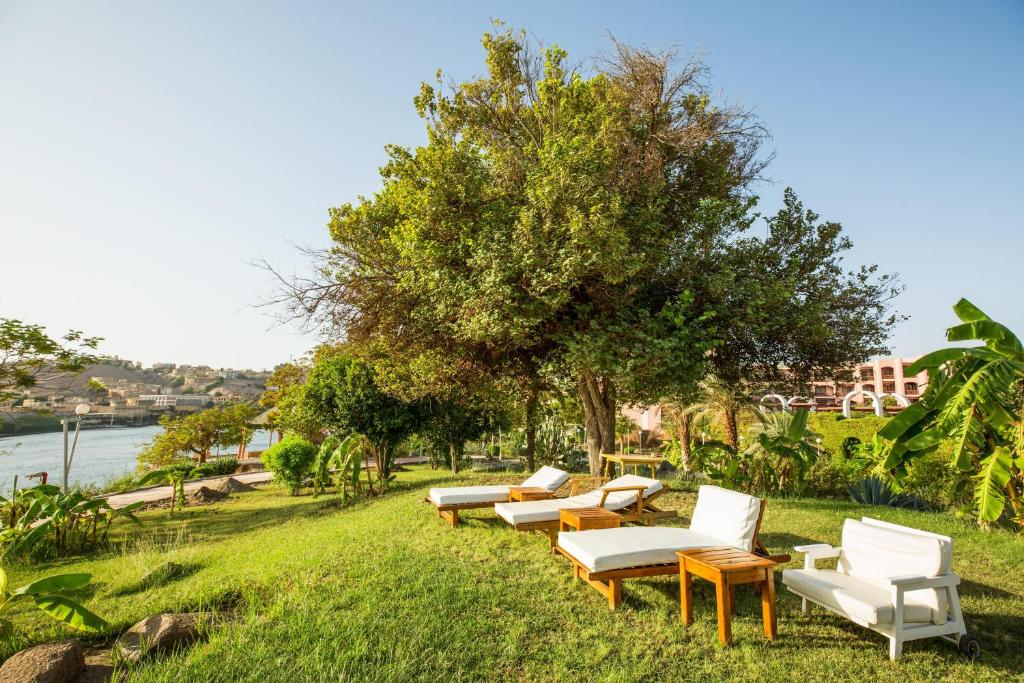 a row of white chairs sitting next to a tree at Pyramisa Island Hotel Aswan in Aswan