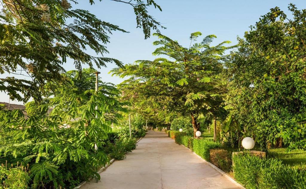 a walking path in a park with trees at Pyramisa Island Hotel Aswan in Aswan