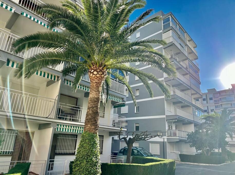 un palmier devant un bâtiment dans l'établissement Apartamento Escuela de Vela REF. 026, à Benicàssim