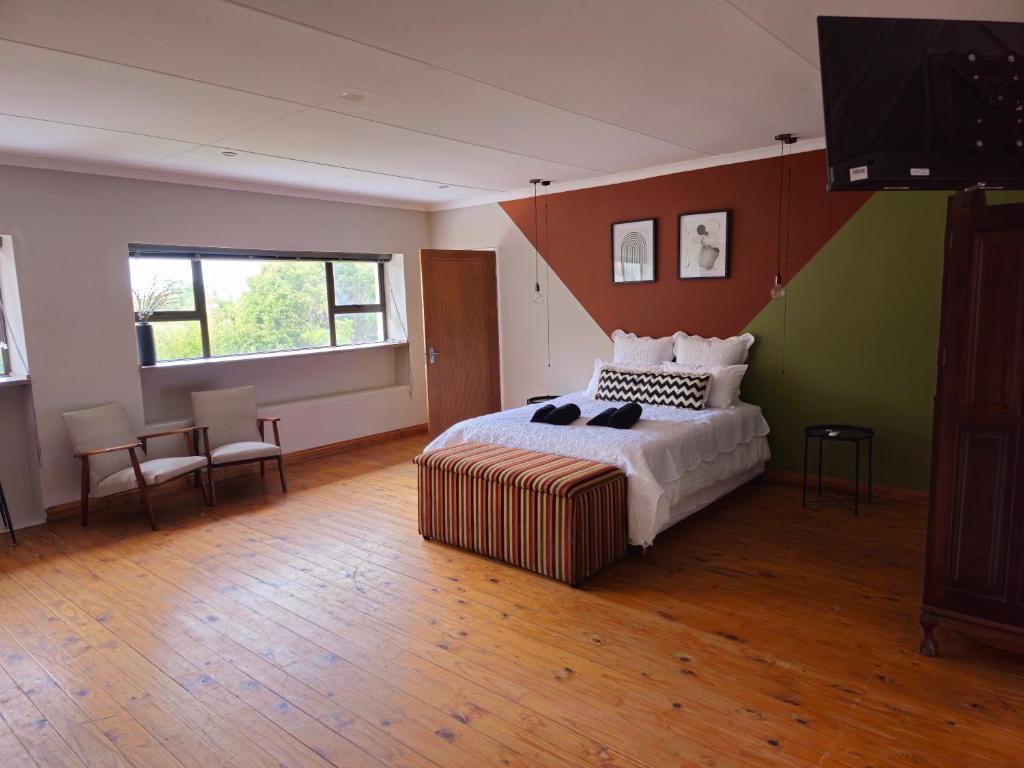 Jacobsons Guesthouse في بلومفونتين: غرفة نوم بسرير وتلفزيون بشاشة مسطحة