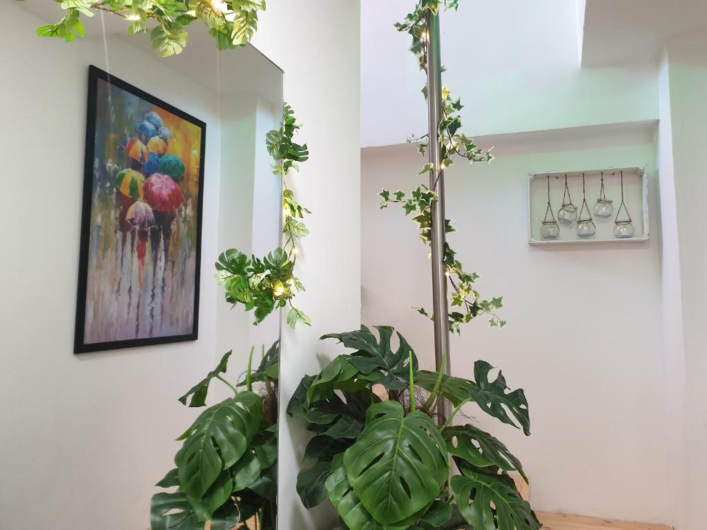 Ogród w obiekcie CALTERR - Loft con Terraza privada, Wifi, Recién reformado