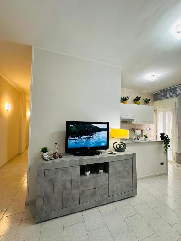 a living room with a flat screen tv on a entertainment center at Ferdirisa Vesuvio Home&Garden in San Giorgio a Cremano