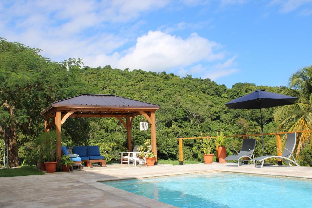 The Serene House Bed & Breakfast photo