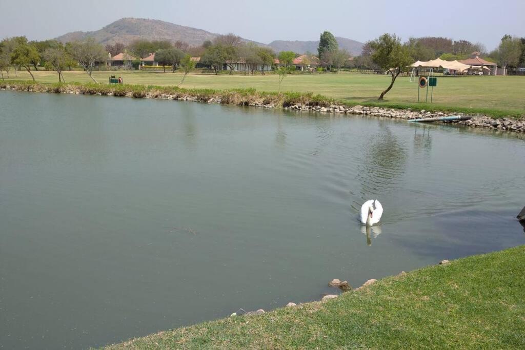 un cisne nadando en un estanque en un parque en Cosy home in Pecanwood lake view - Hartbeesport, en Hartbeespoort