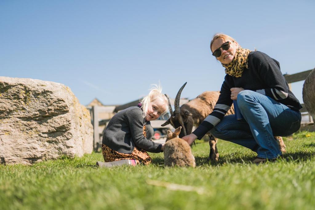 Hosté ubytování Büdlfarm - Der Familien-Erlebnishof in Strandnähe