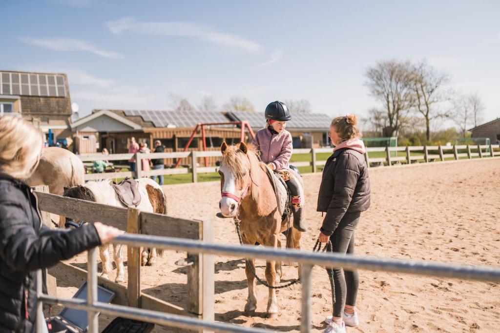 Hosté ubytování Büdlfarm - Der Familien-Erlebnishof in Strandnähe