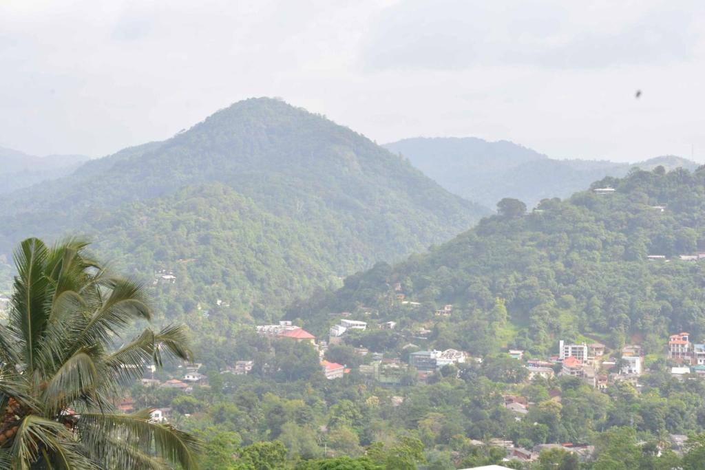 High View Homestay - 7