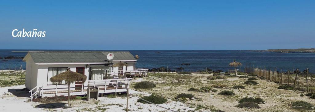 una casa sulla spiaggia con l'oceano sullo sfondo di Refugio Humboldt a Punta de Choros