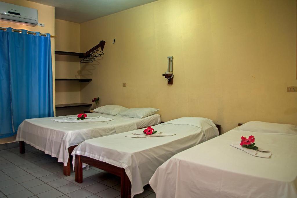 Pousada California - Confort (3 Adultes)