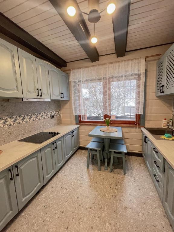 Kuchyň nebo kuchyňský kout v ubytování Private House Scherbovets
