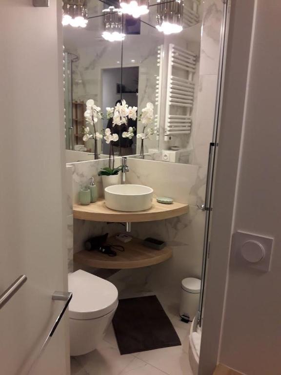Vonios kambarys apgyvendinimo &#x12F;staigoje Nid douillet parisien