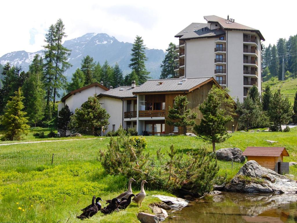 a group of ducks in the grass near a building at Apartment Mont-Fort-29 by Interhome in Siviez