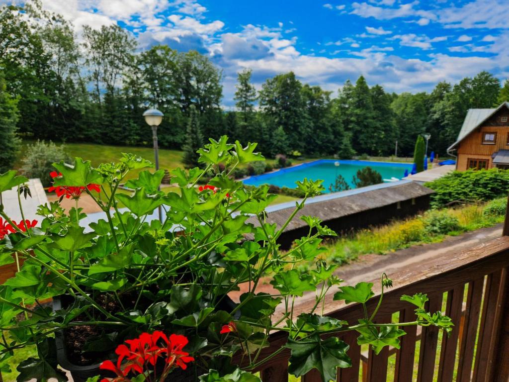 Zahrada ubytování Studio Lesní plovárna by Interhome