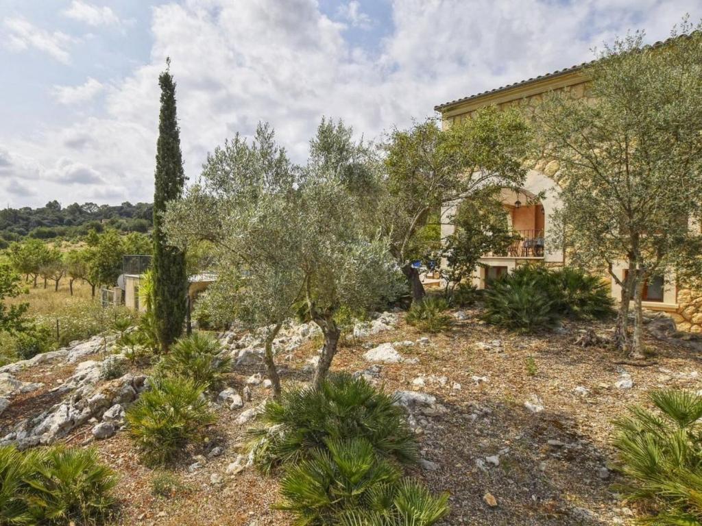 A garden outside Holiday Home Pla De Ses Rotes by Interhome