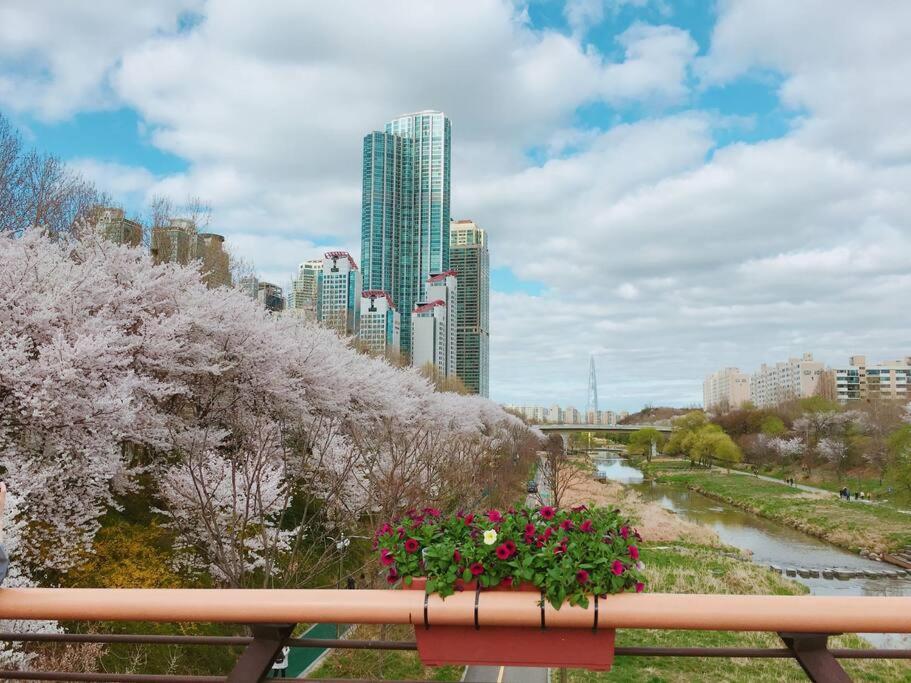 a view of a city from a park with flowers at Yangjae Promenade,park,cafe street&Relaxation in Seoul