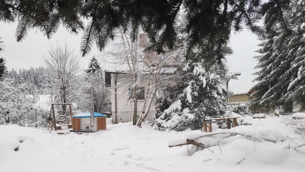 um quintal coberto de neve com uma casa e uma árvore em K85 Komańcza Baza Noclegowa Wypadowa Bieszczady Beskid Niski em Komańcza