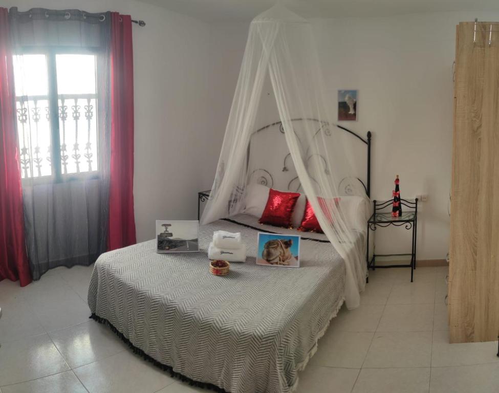 a bedroom with a bed with a canopy at Yaramar in Orzola