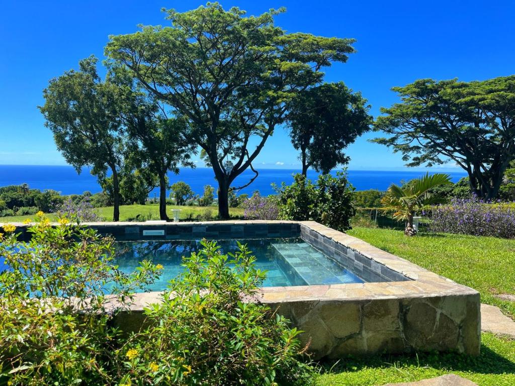 a swimming pool with the ocean in the background at Le Domaine de l'Ilet in Saint-Claude