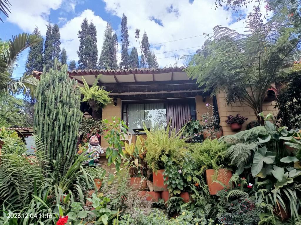 un giardino di fronte a una casa con piante di villa saturia a Ráquira