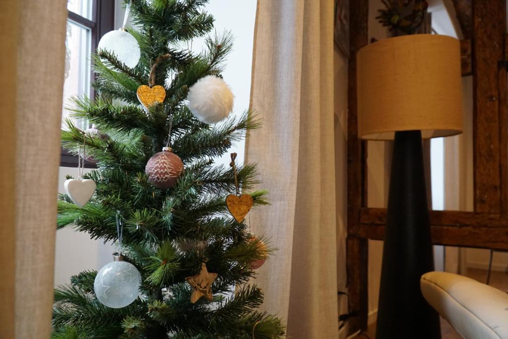 Fotografie z fotogalerie ubytování Gîte Du XVe v destinaci Kaysersberg
