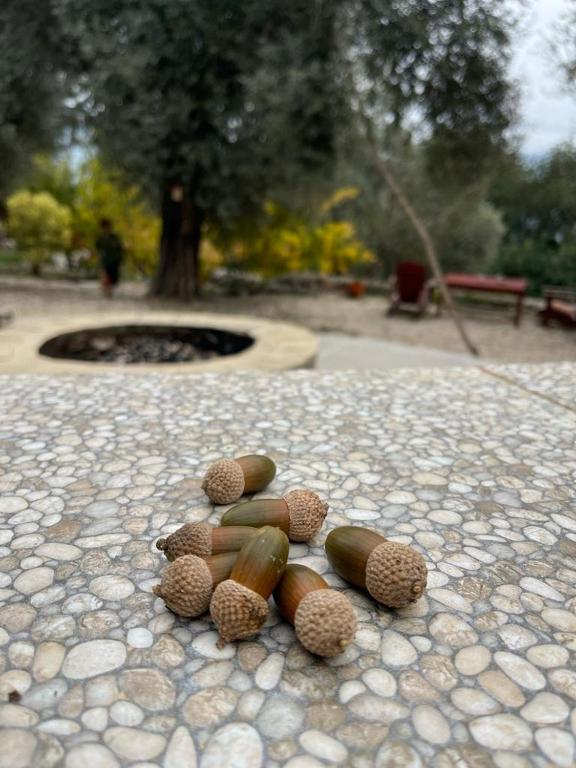 Fotografie z fotogalerie ubytování Antalya Bodrum Kayası Dağ Oteli v destinaci Hasdümen