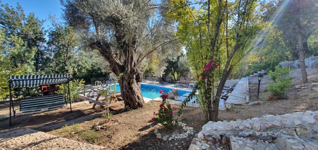 a swimming pool with a tree next to a yard at Antalya Bodrum Kayası Dağ Oteli in Hasdümen