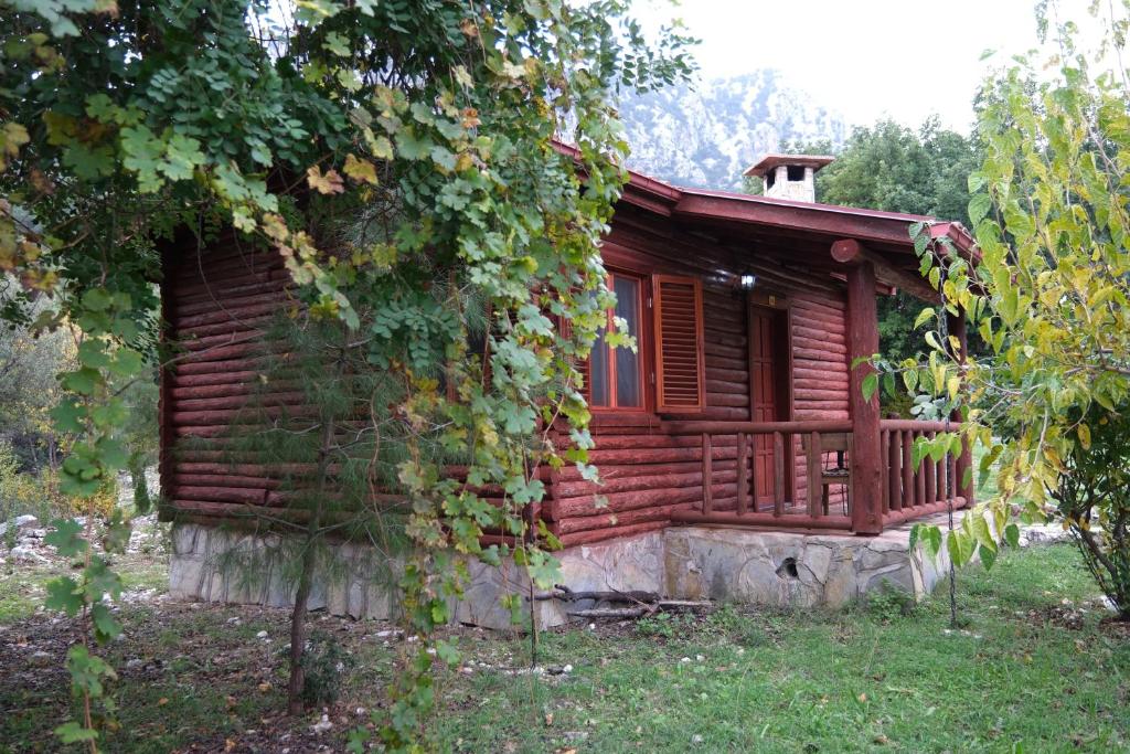 Zahrada ubytování Antalya Bodrum Kayası Dağ Oteli