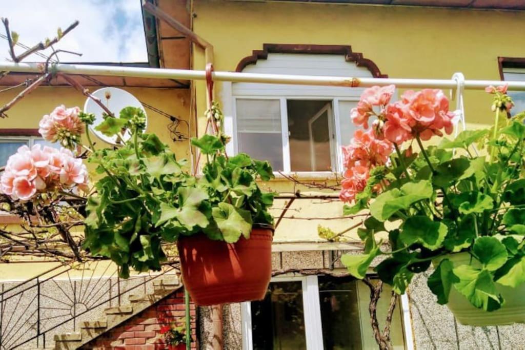 Zahrada ubytování Lovely studio in Dragoman with garden and garage
