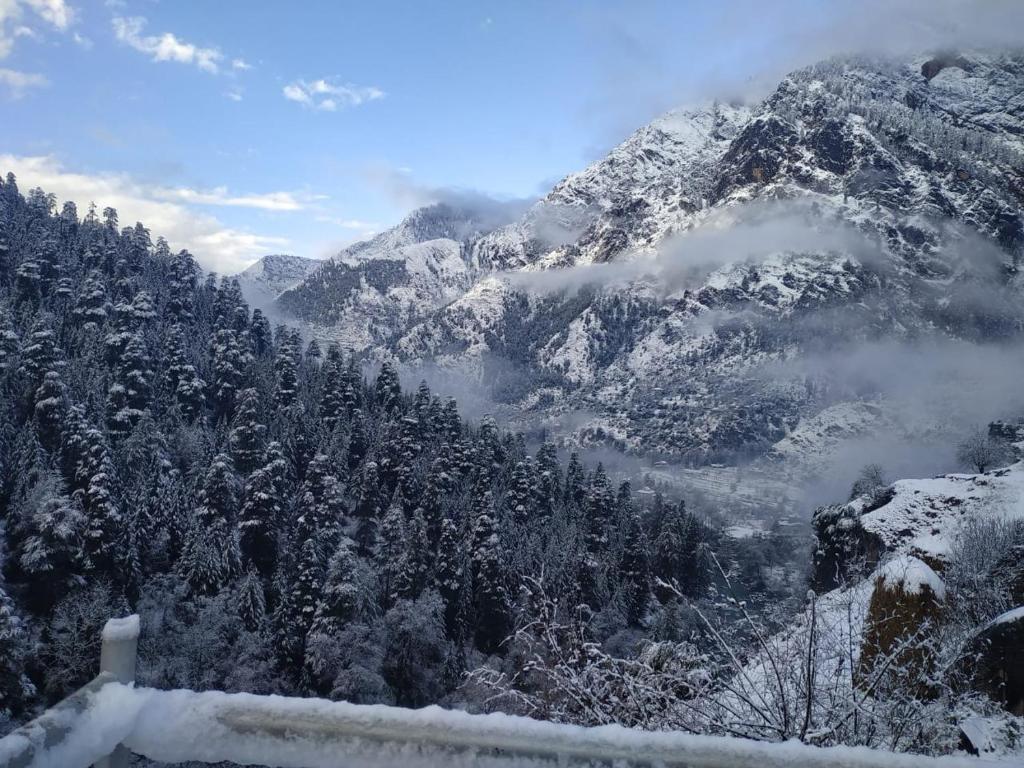 una montaña cubierta de nieve con árboles y bosques en Kasol Hostel en Kasol