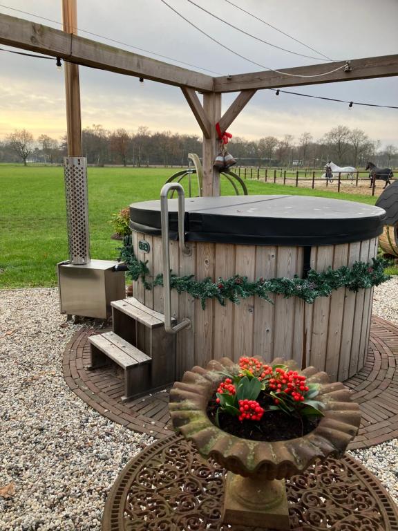 Zahrada ubytování Bed & Breakfast Hoeve Happiness - ontbijt inbegrepen - wellness aanwezig