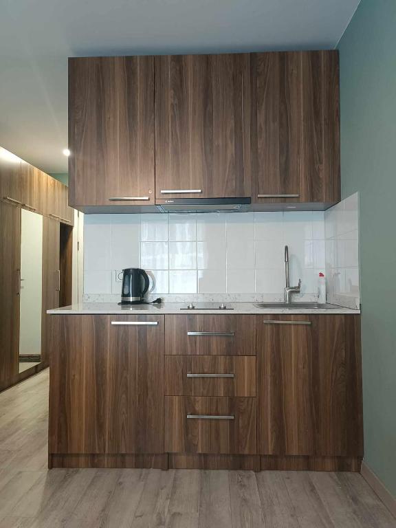 Kuchyň nebo kuchyňský kout v ubytování Новый Гудаури Loft 2