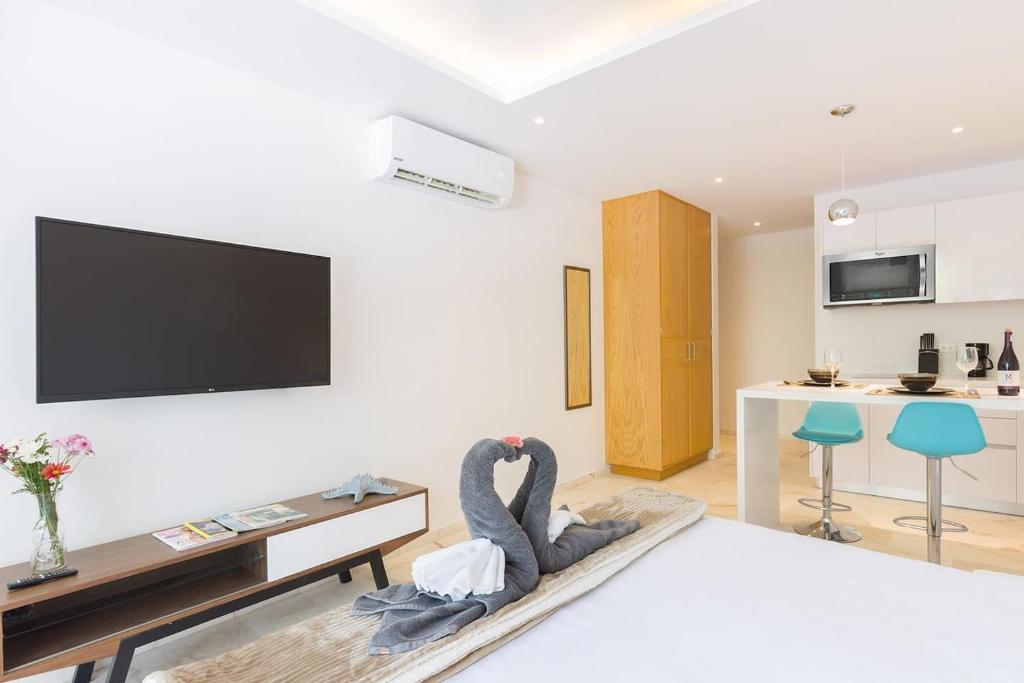 TV a/nebo společenská místnost v ubytování Infinity Suites