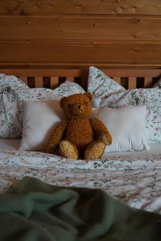 Letto o letti in una camera di Chalupa na Valech