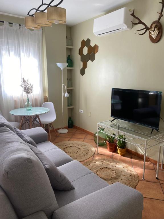 Apartamentos La Palma في أوبريق: غرفة معيشة مع أريكة وتلفزيون بشاشة مسطحة