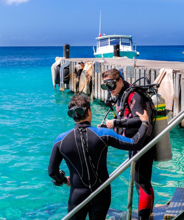 Hosté ubytování Buddy Dive Resort