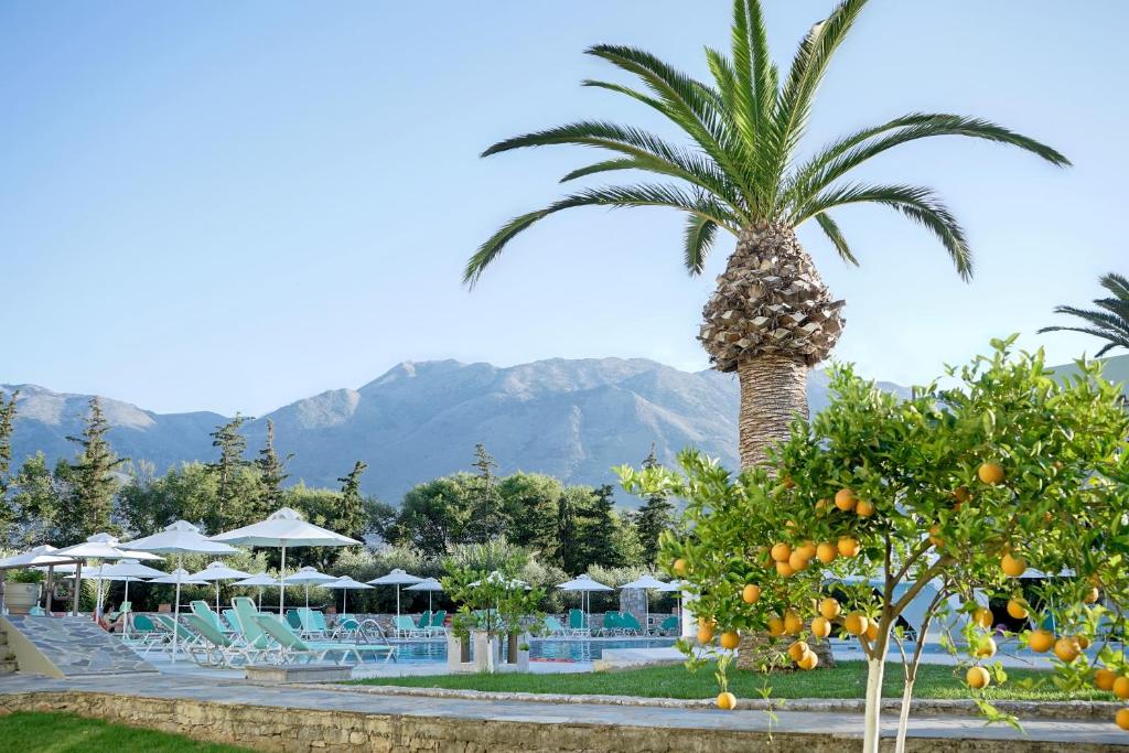 a palm tree in front of a resort with chairs and a pool at Vardis Olive Garden in Georgioupolis