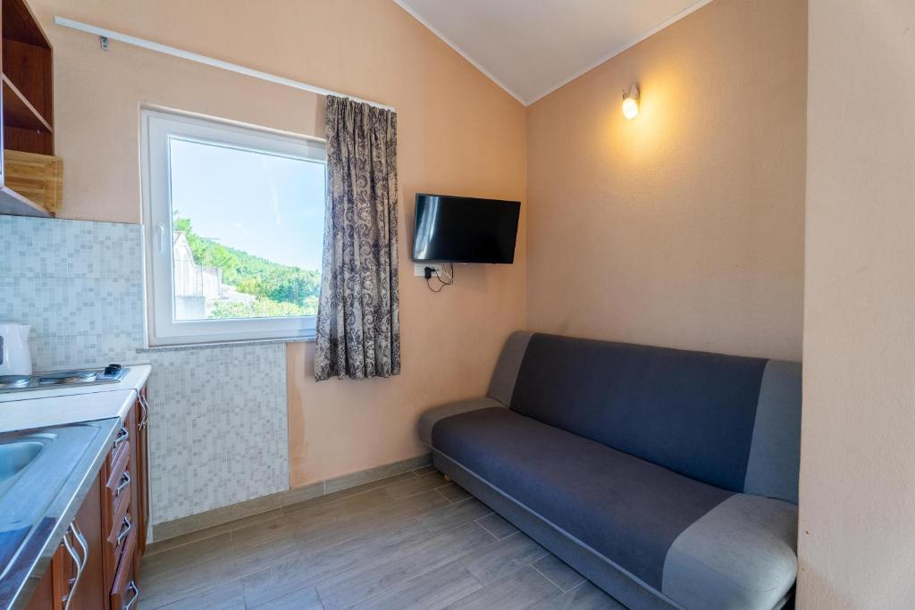 TV a/nebo společenská místnost v ubytování Apartmani Malbašić
