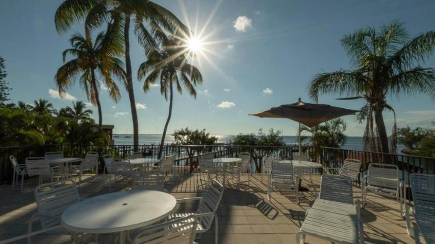 een patio met tafels en stoelen, palmbomen en de oceaan bij Moon Bay A410 in Key Largo