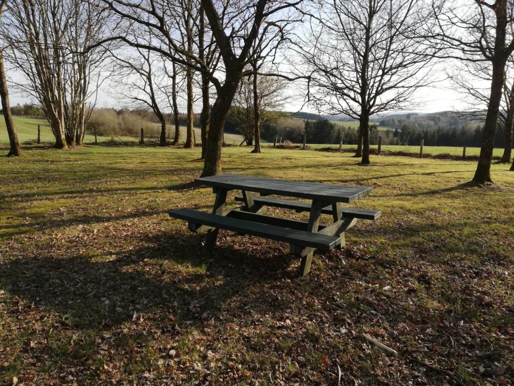una mesa de picnic en un parque con árboles en Maison des Fées d'Achouffe, en Houffalize